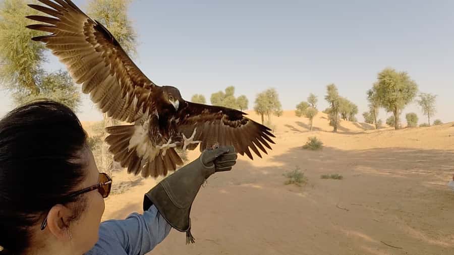 Dubai: Private Falconry Safari - Dubai Desert Conservation Reserve: The 4WD ride sets the tone
