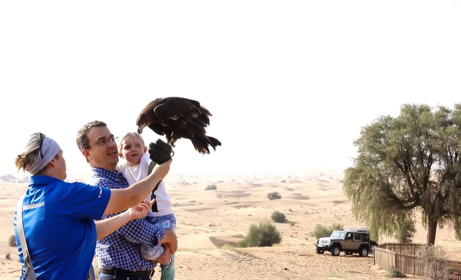 Dubai: Private Falconry Safari - Your 1.5-hour falconry session: Help train, then feel the birds fly in
