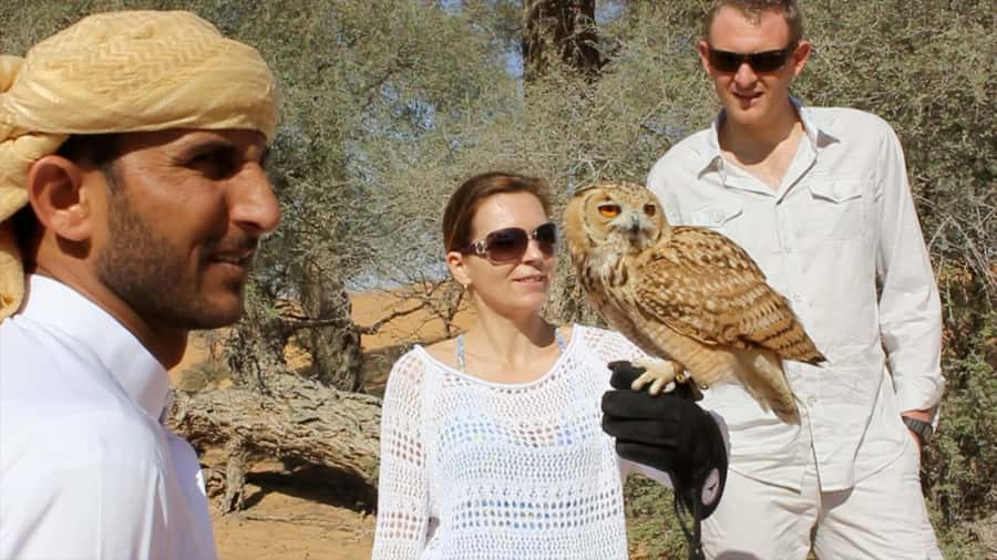 Dubai: Private Falconry Safari - Peregrine meets a drone: What the modern technique actually adds