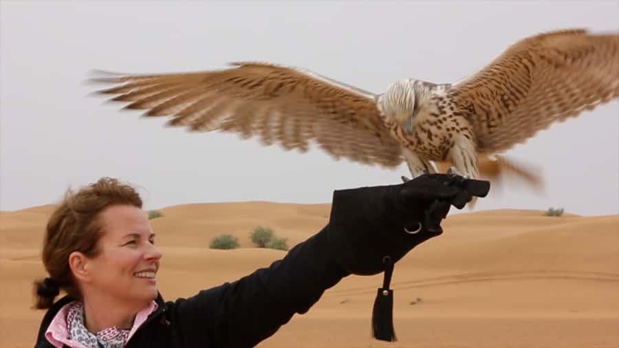 Dubai: Private Falconry Safari - Who should book this private falconry safari