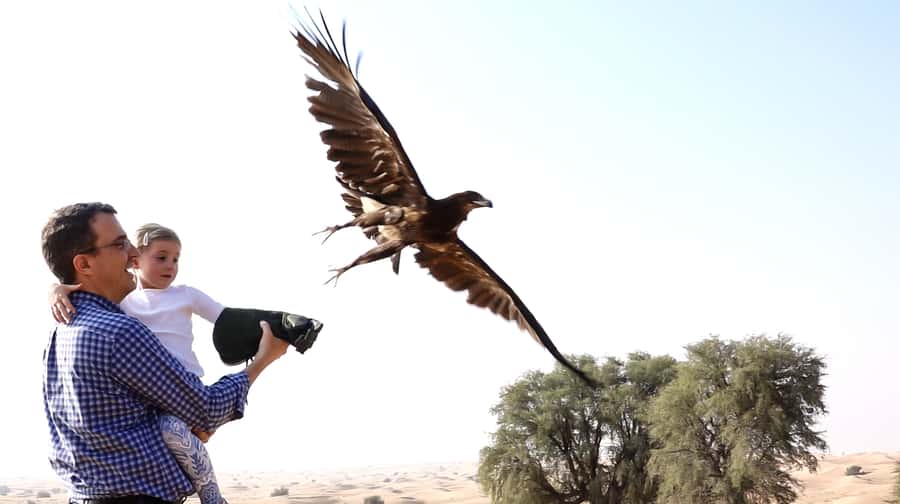 Dubai: Private Falconry Safari - At the falcon camp: Arabic coffee, dates, and bird prep