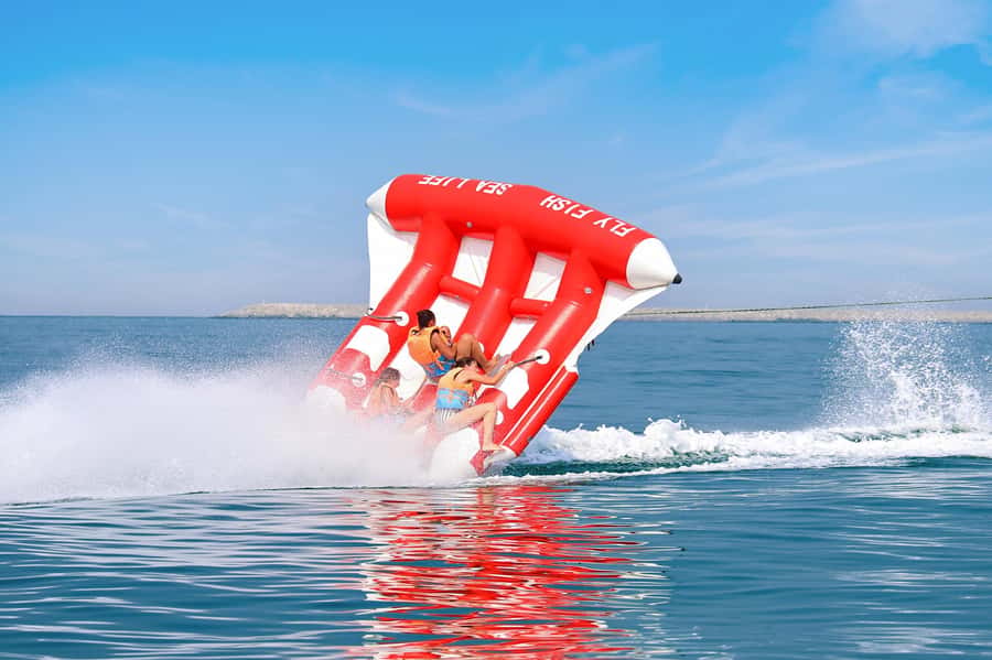 Dubai: Private Fly Fish Boat Ride - Boarding and the First Minutes: What Happens Right After Check-In