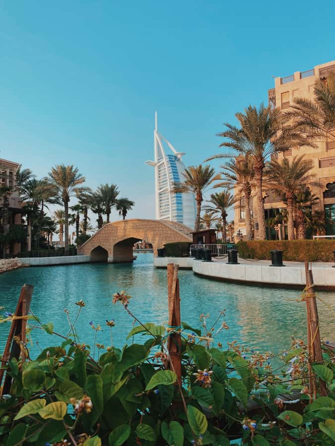 Dubai:Private Frame Entry, Mosque, Souks, Tastings& transfer - Getting around: private shuttles, traffic, and timing