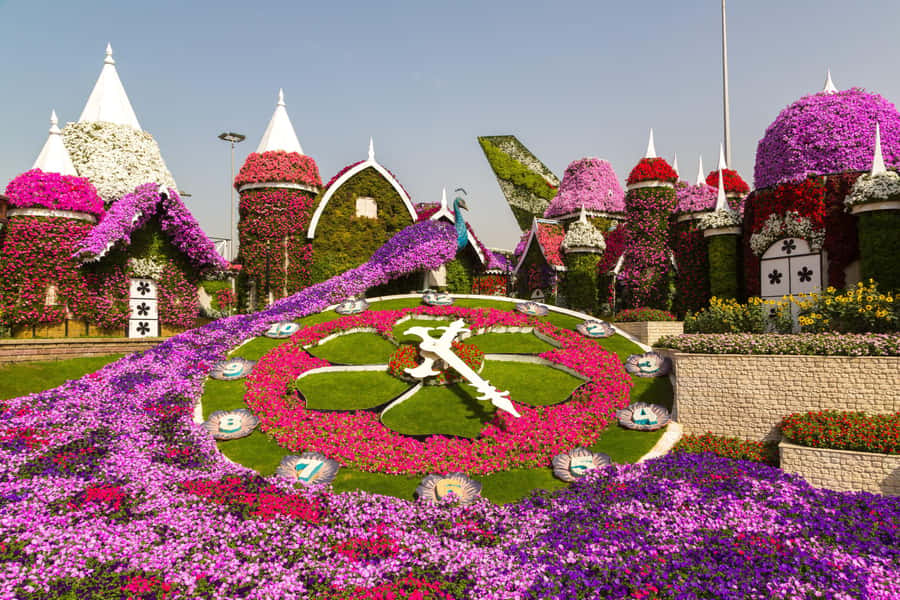 Dubai: Private Miracle Garden & Global Village Trip - Private day, how the guides and drivers tend to show up