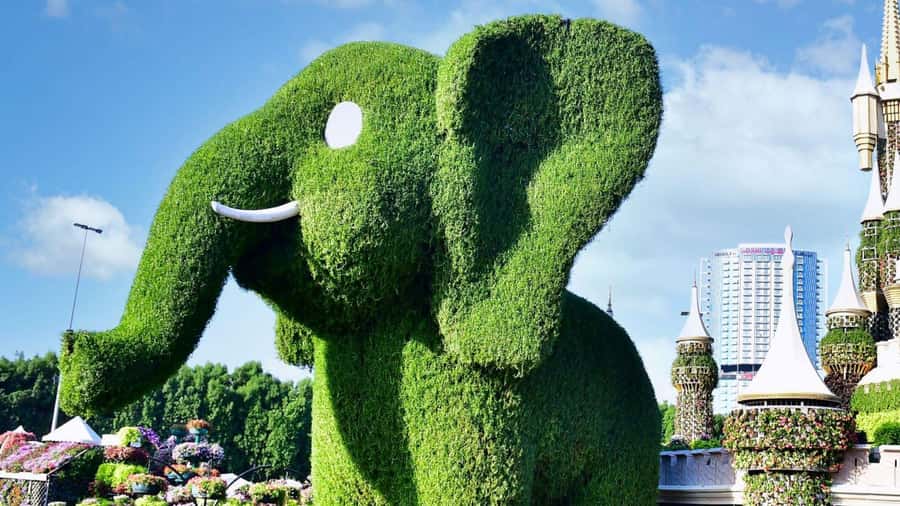 Dubai: Private Miracle Garden & Global Village Trip - The Emirates A380 and other must-see photo moments