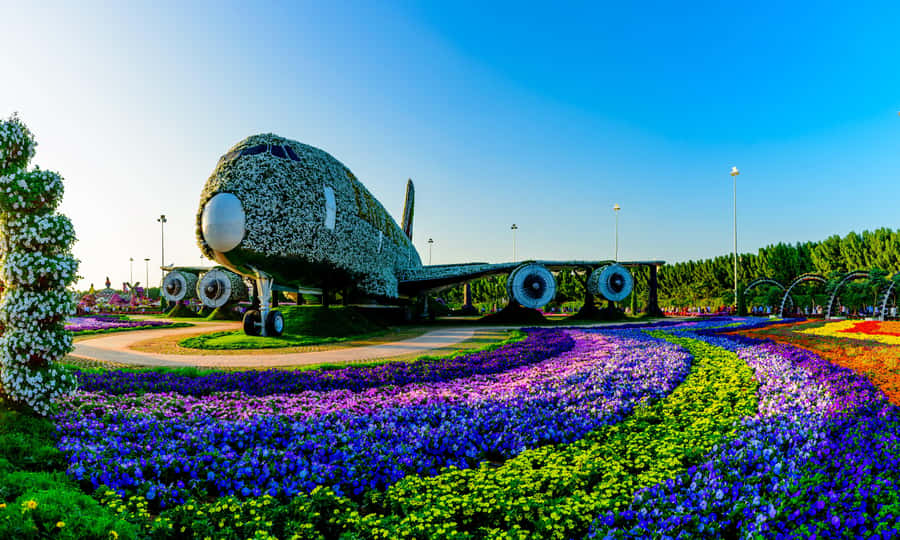 Dubai: Private Miracle Garden & Global Village Trip - The practical timing in a 6-hour day