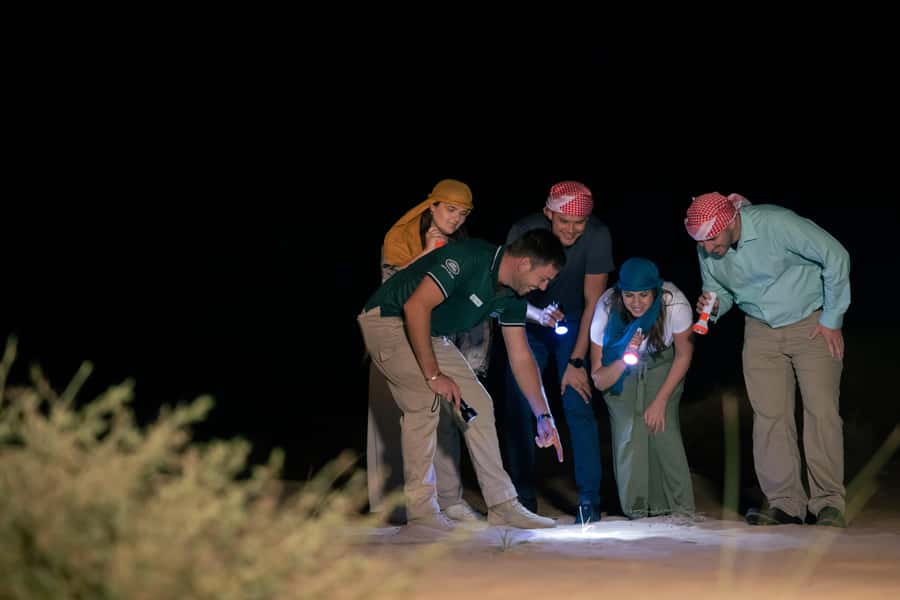 Dubai: Private Night Safari & Astronomy with 3-Course Dinner - Best-fit for your trip style, and who should skip this one