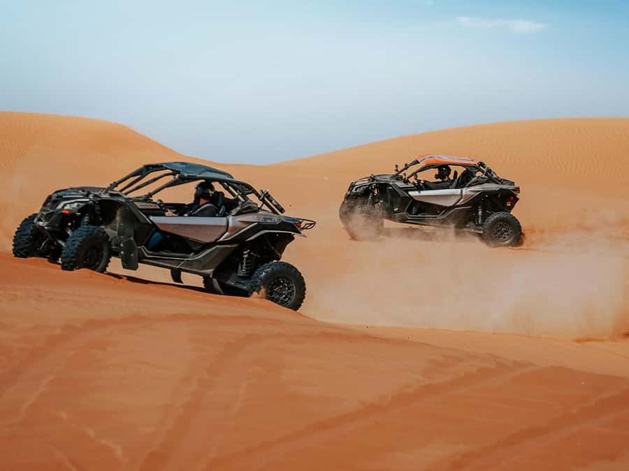 Dubai: Quad Bike or Dune Buggy Adventure & Optional Transfer - Key highlights that make this outing worth your time