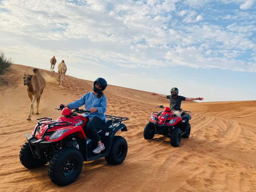 Dubai: Quad Bike Safari, Camels & Al Khayma Camp BBQ Dinner - Camel riding, feeding, and falcon moments at the camp