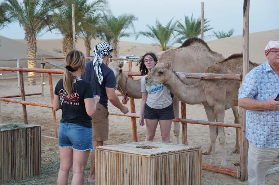 Dubai: Red Dune Desert Safari, Quad Bike, Camels, and BBQ - Who should book, and who should skip this day