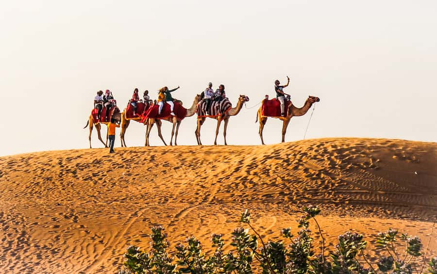 Dubai: Red Dune Safari, Quad Bike, Camel Ride, BBQ Dinner - Pickup timing and why the 4WD part matters