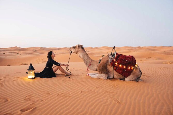 Dubai: Red Dunes Desert Safari, Camel ride, Sandboard, Quad Bike - Key highlights worth aiming for