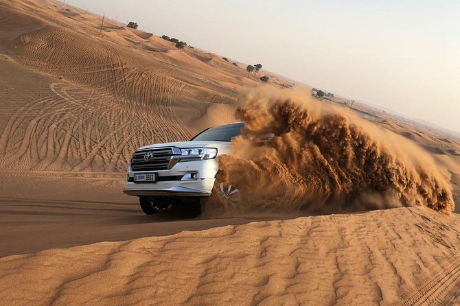 Dubai Red Dunes Desert Safari : Sandboarding, BBQ & Live Shows - Key things to know before you go