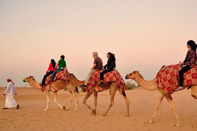 Dubai Red Dunes Desert Safari : Sandboarding, BBQ & Live Shows - Should you book this Dubai Red Dune safari?