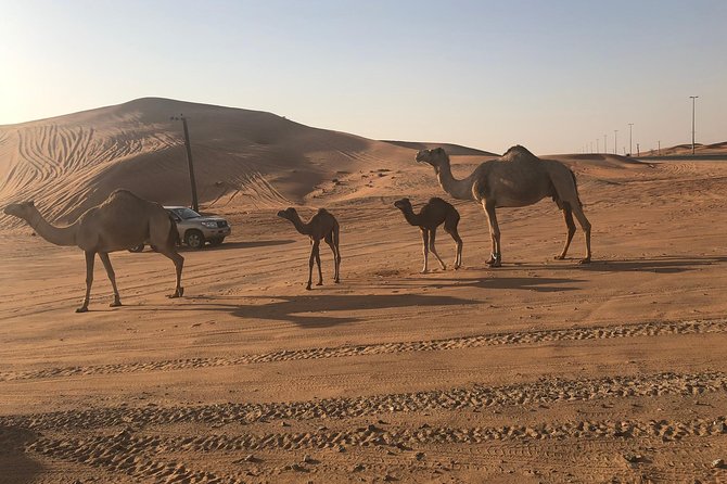 Dubai Red Dunes Desert Safari : Sandboarding, BBQ & Live Shows - Al Awir camp welcome: henna, Arabic attire, and good photo timing