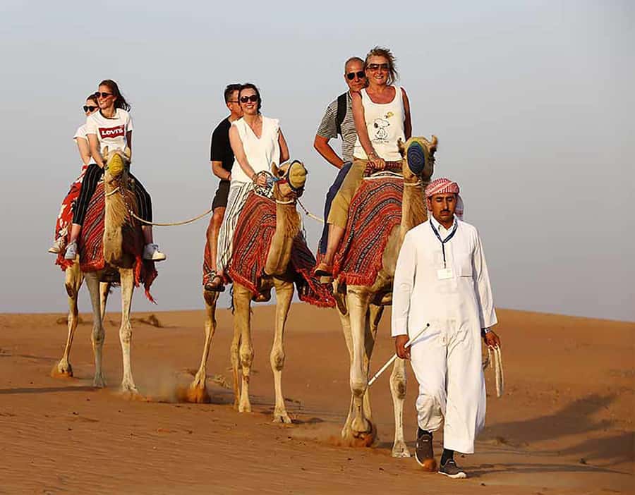 Dubai: Red Dunes Desert Safari with Premium Camp BBQ & Shows - Price and duration: why $49 can be good value (if you match the format)