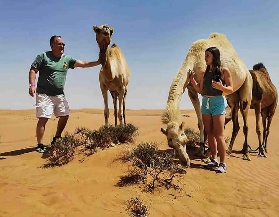 Dubai: Red Dunes Desert Safari with Premium Camp BBQ & Shows - Who this Dubai desert safari fits best (and who should skip it)