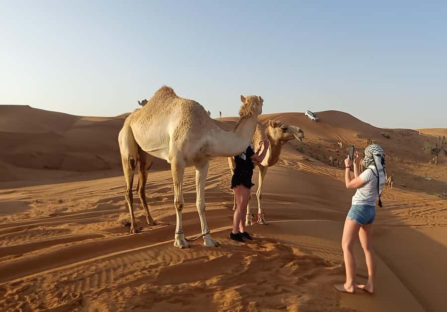 Dubai: Red Dunes Morning Desert Quad, Buggy or 4x4 Ride - What to bring, plus the one rule that changes the whole trip