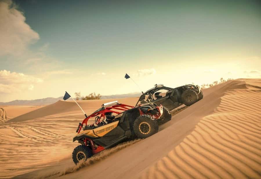 Dubai: Red Dunes Quad Bike, Dune Buggy, Camel & Refreshments - Quad Bike vs Dune Buggy: Pick the Right Amount of Chaos