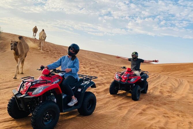 Dubai Red Dunes Safari, ATV, Camel ride, BBQ at Desert Camp - Price and value: what $150 buys you, and what you should budget extra