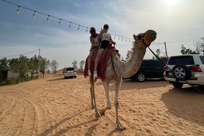 Dubai: Red Dunes, Sandsurf, Camel Ride, BBQ Dinner at Desert Camp - Camp Dinner and Live Shows: Tanura, Belly Dance, and Fire Performance