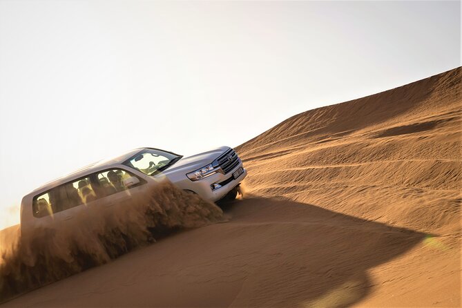 Dubai Red Dunes with Sandboarding, Camel Ride, Falcon & VIP Camp - Key highlights at a glance