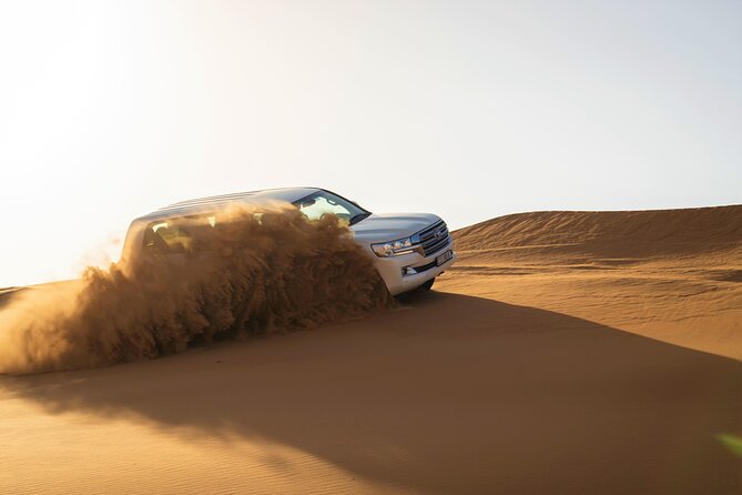 Dubai Red Dunes with Sandboarding, Camel Ride, Falcon & VIP Camp - What to expect from the group size and timing
