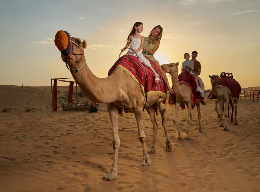 Dubai’s Best Desert Safari: Live Show & Gourmet BBQ Dinner - The Dune Bashing Section: 45 Minutes of Controlled Adrenaline