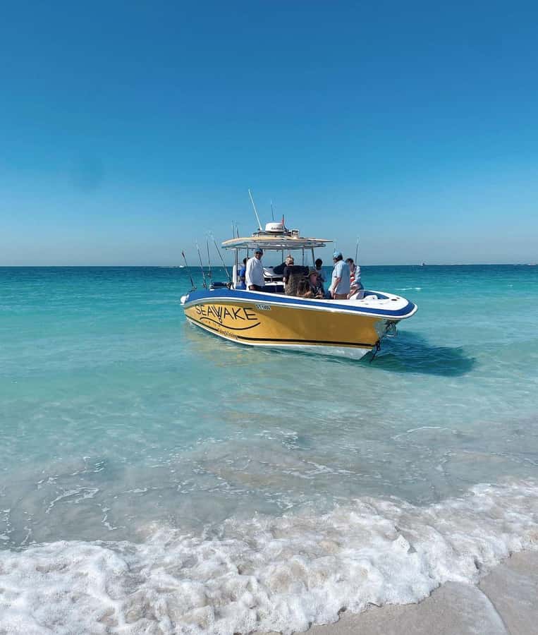 Dubai's BEST Fishing Charter – No Fish, No Pay! - Gear, Bait, Water, and Ice: The Stuff You Don’t Want to Bring