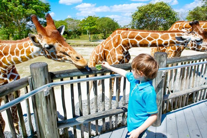 Dubai Safari Park - How Dubai Safari Park Fits Into a 4 to 5 Hour Plan