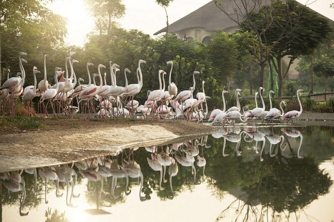 Dubai Safari Park - African, Explorer, and Asian Villages: Variety You Can Feel