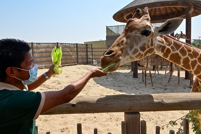 Dubai Safari Park - Arabian Desert Safari by Electrical Vehicle: A Short Shift in Atmosphere