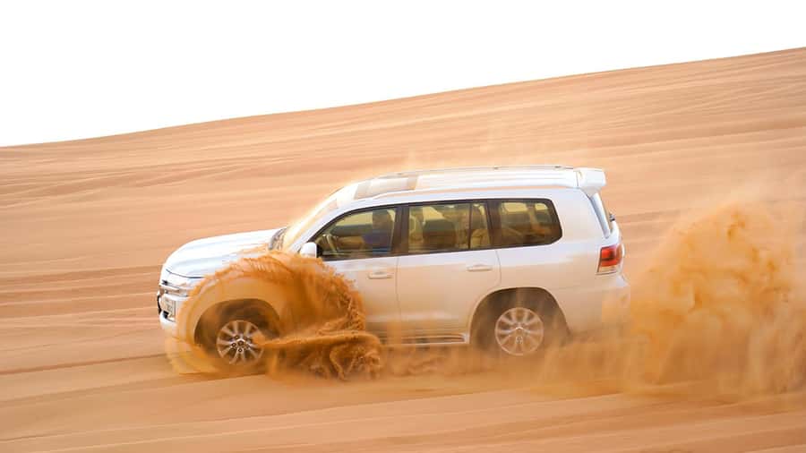 Dubai: Sandboarding, Camel Ride and Red Dune Bashing - Quick hits from the Red Dune desert morning