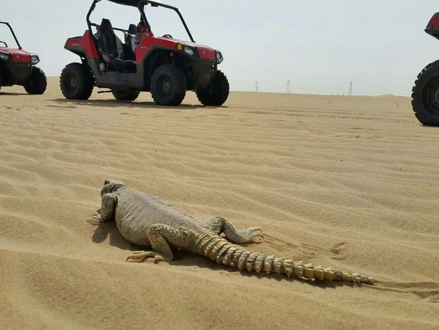 Dubai: Self-Drive Dune Buggy Safari with Pickup and Drop-Off - 800cc Sand Buggies and What Guided Really Means