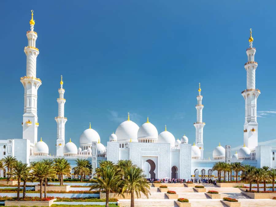 Dubai: Sheikh Zayed Mosque & Ferrari World Entry w/ Transfer - Guides that actually help you, not just move you