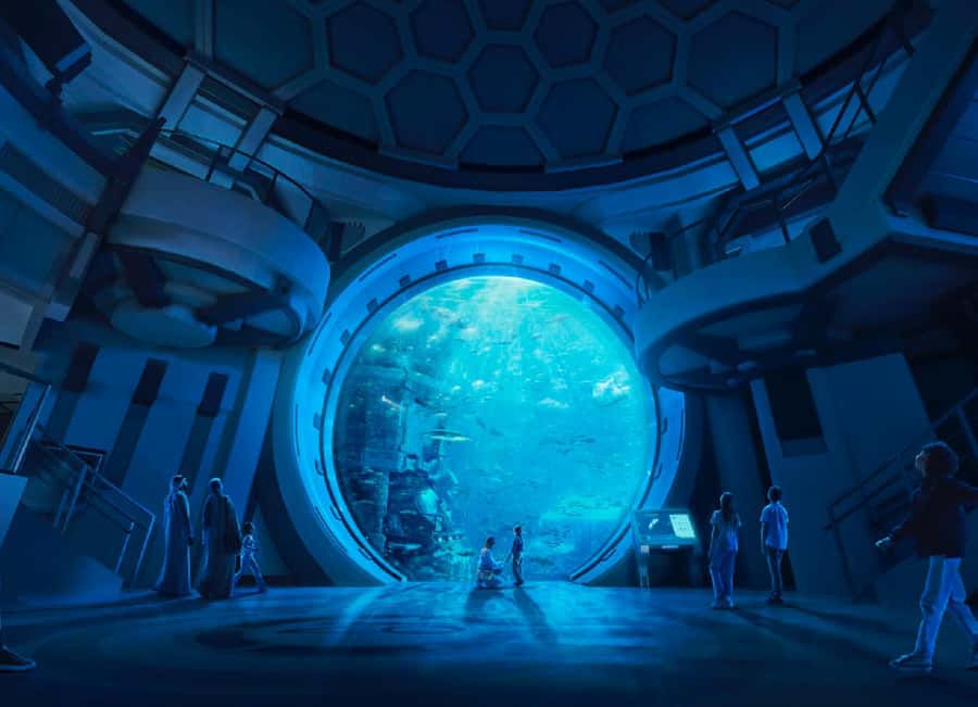 Dubai: Sheikh Zayed Mosque & SeaWorld Entry w/ Transfer - Should you book this Sheikh Zayed Mosque and SeaWorld tour?
