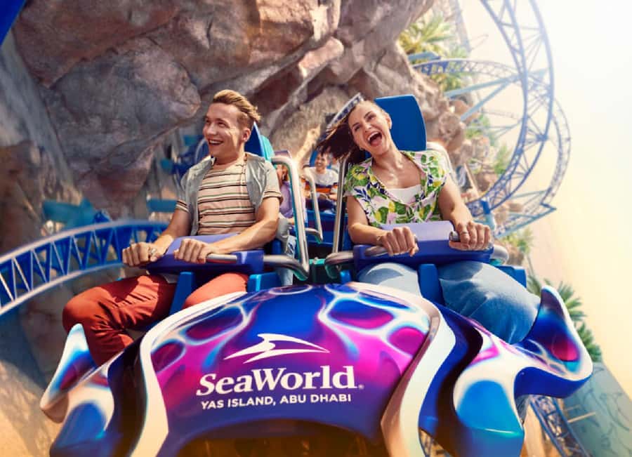 Dubai: Sheikh Zayed Mosque & SeaWorld Entry w/ Transfer - Sheikh Zayed Grand Mosque: what to notice beyond the photos