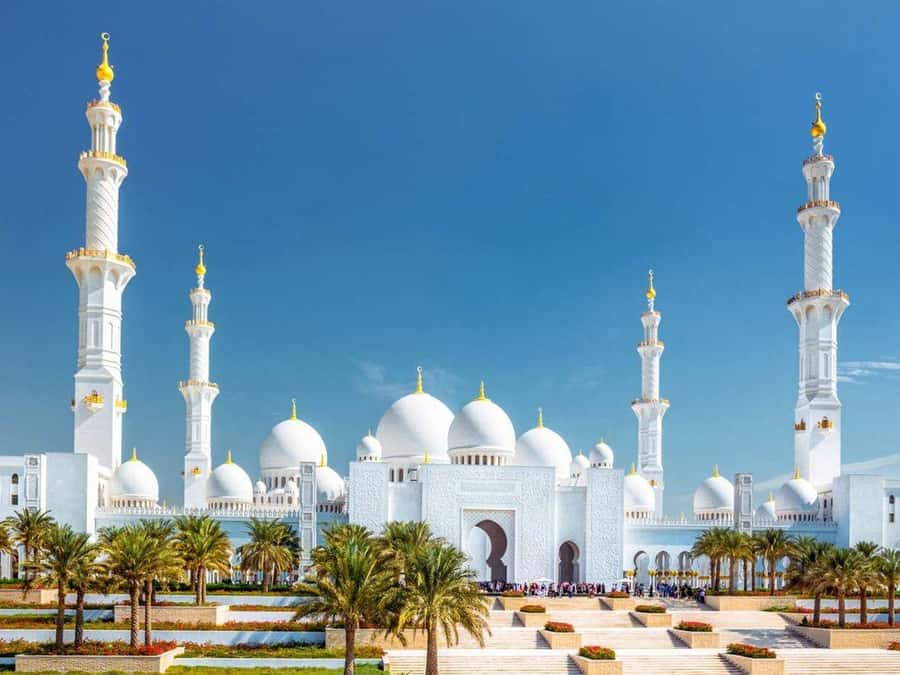 Dubai: Sheikh Zayed Mosque & Warner Bros w/ Transfer - Warner Bros World Abu Dhabi: DC, Looney Tunes, and Live Shows