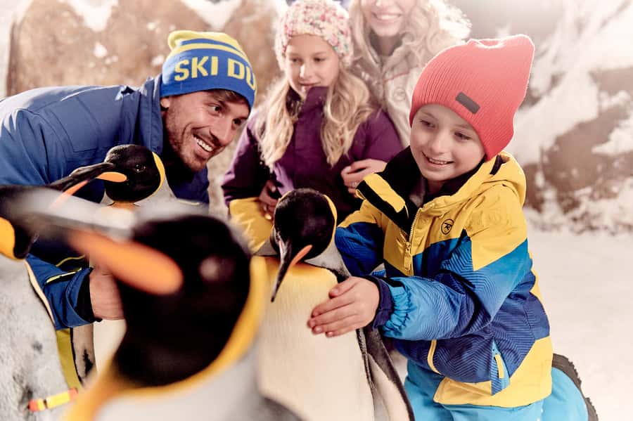 Dubai: Ski Dubai Snow Park Classic Pass - Mountain Thriller and the 185m speed test