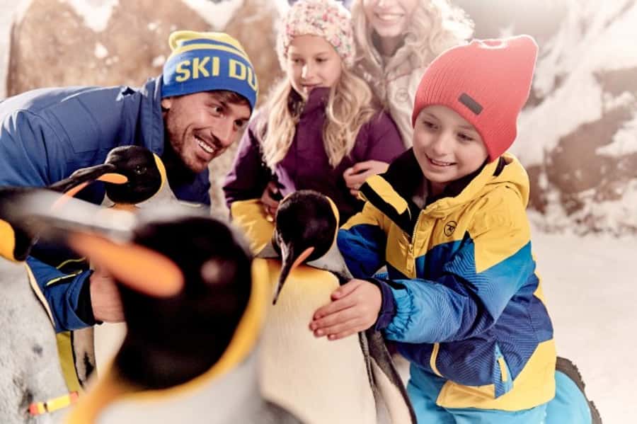 Dubai: Ski Dubai Snow Plus Pass - Who This Pass Suits Best (and Who Should Skip It)