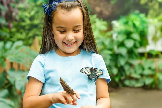 Dubai: Skip-The-Line Ticket to Butterfly Garden - How the Visit Flows: From Arrival to the Butterfly Domes