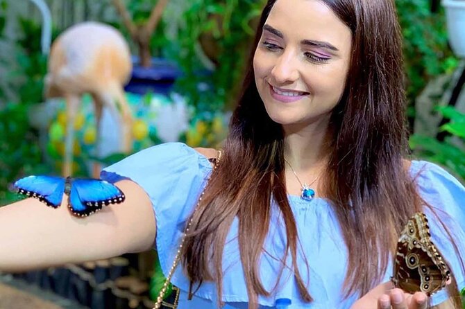 Dubai: Skip-The-Line Ticket to Butterfly Garden - The On-Site Cinema: When Kids Need a Brake