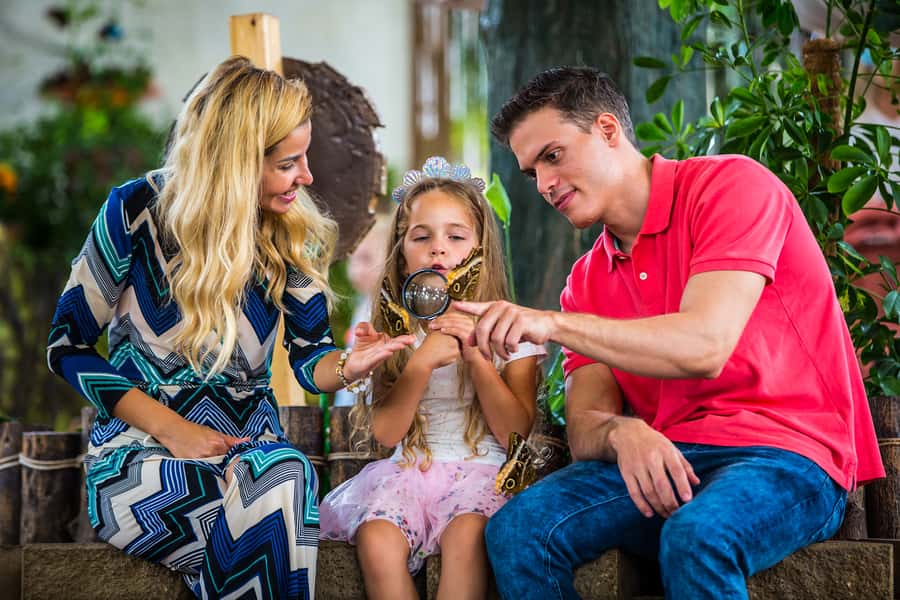 Dubai: Skip-The-Line Ticket to Butterfly Garden - Best Use of Your Time: How Long to Go