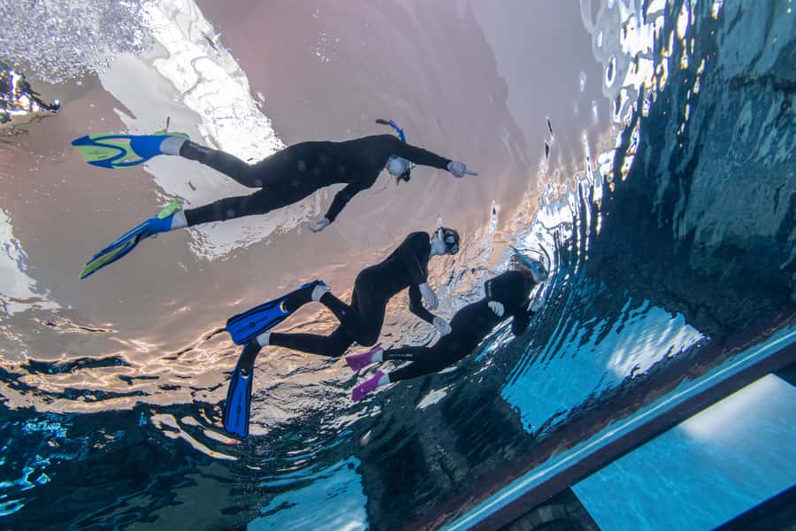 Dubai: Snorkeling at Deep Dive World's Deepest Pool - Key things to know before you go