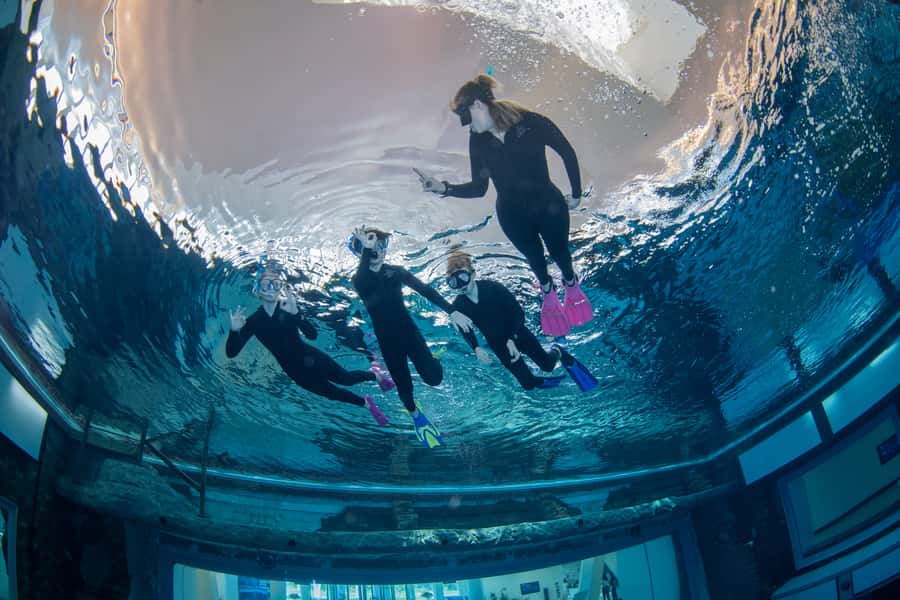 Dubai: Snorkeling at Deep Dive World's Deepest Pool - Meeting at the Deep Dive Dubai sign, then getting your paperwork handled