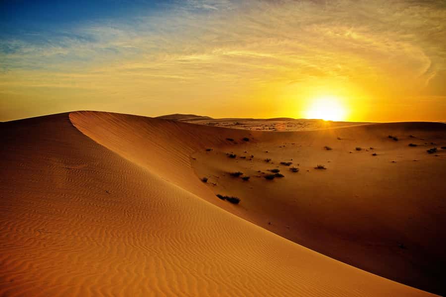 Dubai: Sunrise Desert Jeep Safari with Wildlife Experience - Key Highlights I’d Prioritize