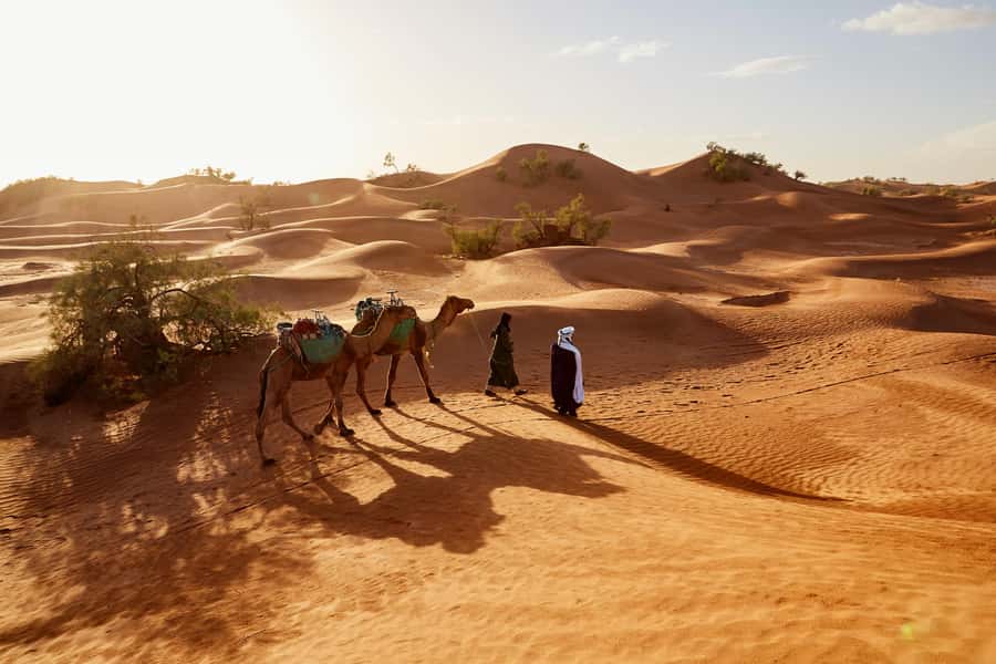 Dubai: Sunrise Hot Air Balloon Tour with E-Certificate - The Safety Briefing and the Pilot Moment (Yes, It Can Be Fun)