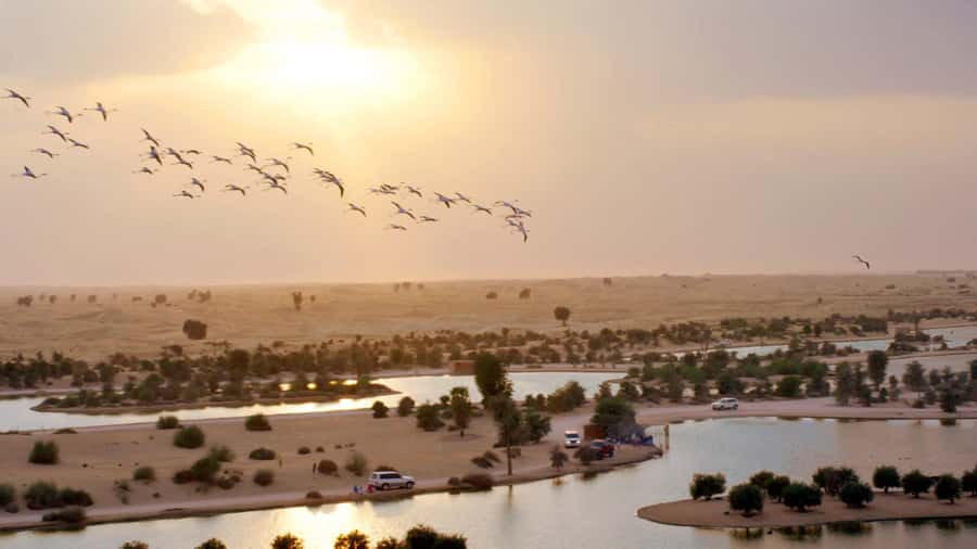 Dubai: Sunrise Hot Air Balloon Tour with E-Certificate - What to Wear and Bring So the Morning Doesn’t Catch You Off Guard