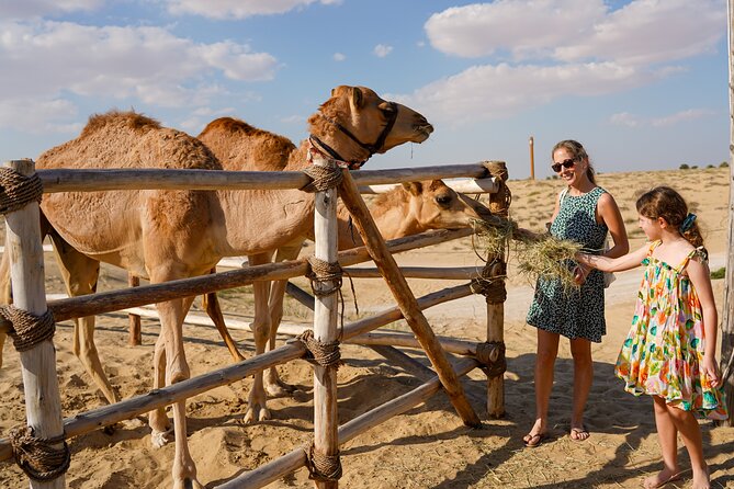 Dubai: Sunset Camel Trek, Al Khayma Camp, Stargazing & BBQ - Stargazing With a Telescope: The Best Way to End the Night