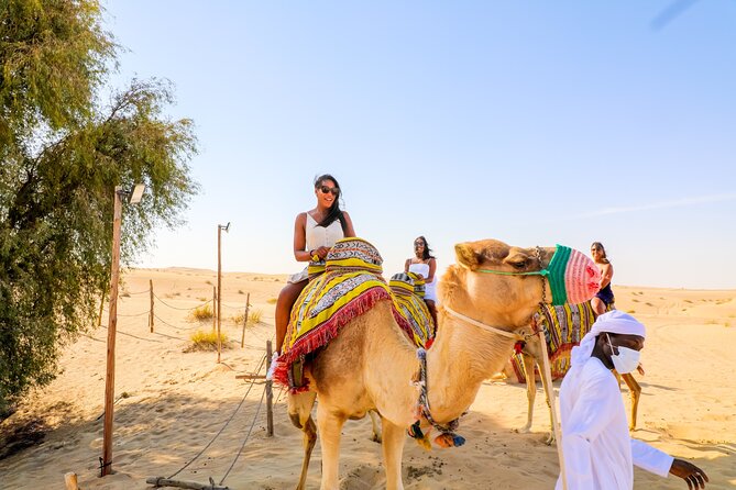 Dubai: Sunset Camel Trek, Al Khayma Camp, Stargazing & BBQ - Getting to the Dunes Without the Stress